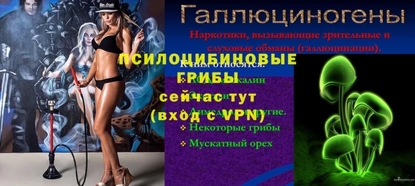первитин Лиски