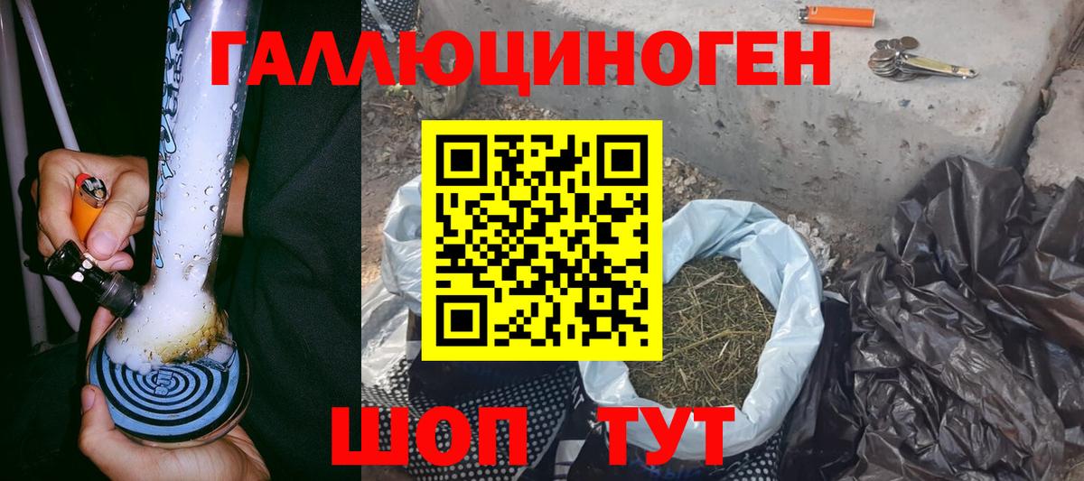 хочу   Нижний Новгород  Галлюциногенные грибы мицелий 