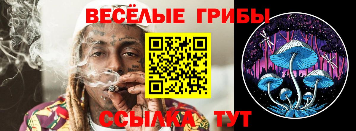 Галлюциногенные грибы Cubensis Нижний Новгород
